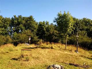 Veľký Tribeč 4 - Palino Peťovský