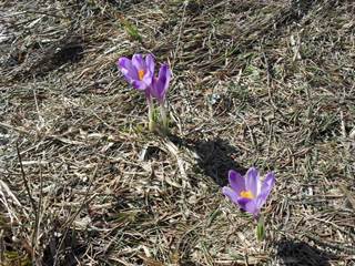 Dobšinský kopec 9 - Paulina Melková