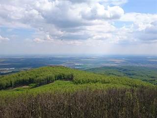 Rozhľadňa Veľká Homoľa 5 - maco