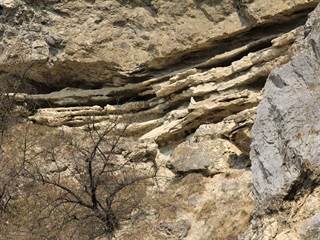 Sandberg 8 - Daniela Tomášiková