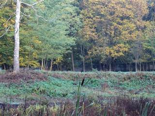 Kaštieľ vo Veľkom Blhu 3 - Daniela Tomášiková