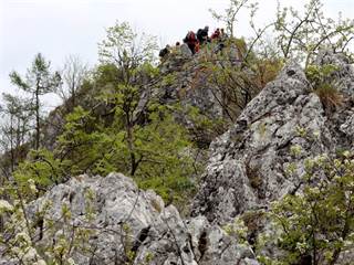Hradová a Tisovský 8 - Daniela Tomášiková