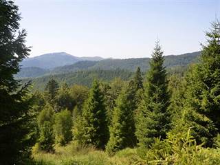 Hekerová 4 - Paulina Melková