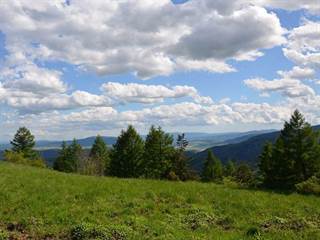 Bachureň 5 - Paulina Melková