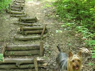 Púchovská skala 5 - Majtán Robo