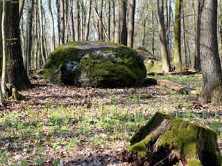 Veľká stráž 3 - Daniela Tomášiková