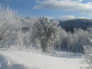 Šimonka 5 - Paulina Melková