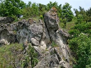 Mníchova úboč 3 - Vladimír Pánik