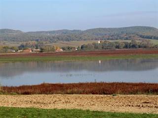 Vodná nádrž Teplý Vrch 8 - Daniela Tomášiková
