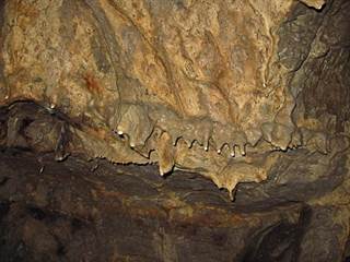 Netopieria jaskyňa 07 - Majtán Robo