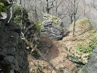 Praporec 4 - Paulina Melková