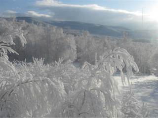 Šimonka 6 - Paulina Melková