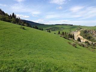 Ostražica 3 - Ivan Palšovič