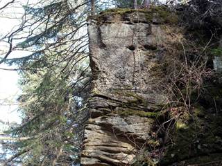 Parkaň 08 - Daniela Tomášiková