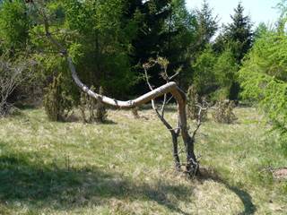 Bralce - Ostrôžky 3