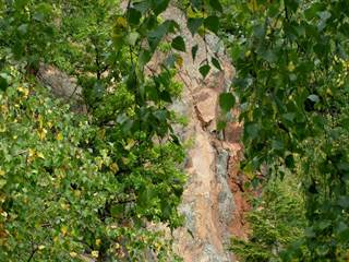 Havrania skala 6 - Daniela Tomášiková