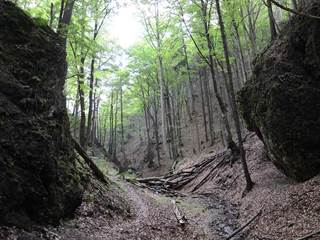 Lačnovský kaňon 3 - Paulina Melková