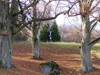 Rastlinný kostol 8 - Viktor Szemán