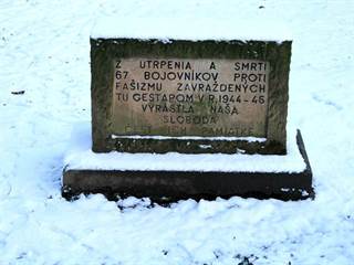 Pamätník Brezina 4 - Peter Zelizňák