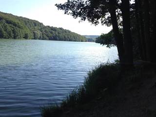 Vodná nádrž Dubník II. 2 - Diana Šimovičová