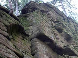 Parkaň 09 - Daniela Tomášiková