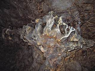 Netopieria jaskyňa 03 - Majtán Robo