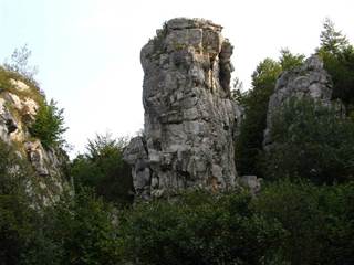 Dreveník 7 - Daniela Tomášiková