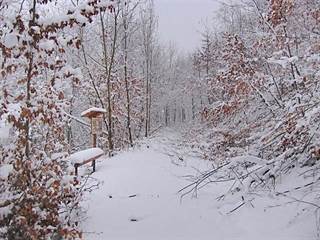 Hradisko Veľký vrch 7 - Majtán Robo