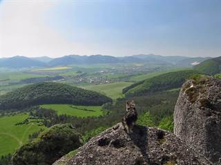 Babice 6 - Majtán Robo