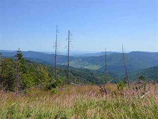 Hekerová 3 - Paulina Melková