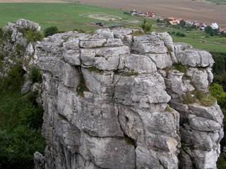 Dreveník 5 - Daniela Tomášiková