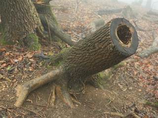 Havrania skala 13 - vypadni.sk