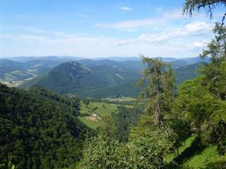 Martinova dolina 2 - Rastislav Tomus