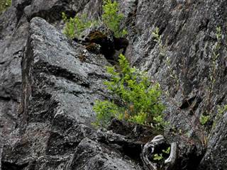 Malý Grič 3 - Daniela Tomášiková