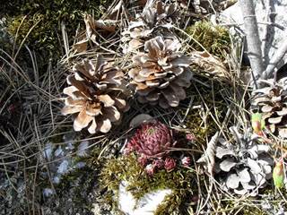 Turniansky hrad 13 - Paulina Melková