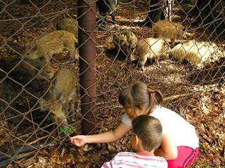 Chata Kováčová 10