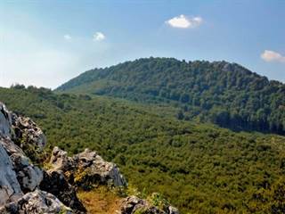 Vysoká (Malé K.) 3 - Stanislav Doronenko