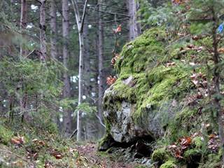 Hradisko na Kláštore 08 - Daniela Tomášiková