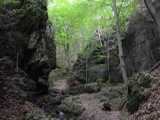 Lačnovský kaňon 5 - Paulina Melková