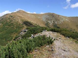 Baranec 2 Jerzy Opioła