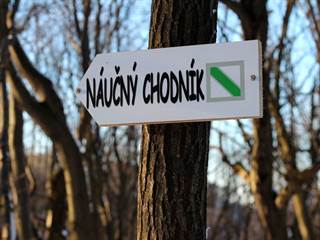 Demian 7 - Daniela Tomášiková