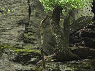 Benát 3 - Daniela Tomášiková