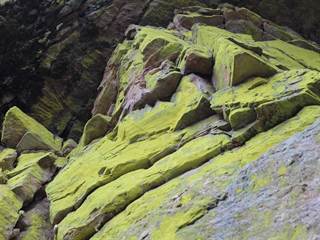 Hradisko na Kláštore 07 - Daniela Tomášiková