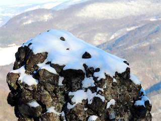 Demian 5 - Daniela Tomášiková