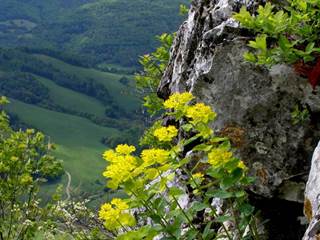 Hradová a Tisovský 2 - Daniela Tomášiková