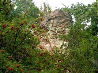 Havrania skala 5 - Daniela Tomášiková