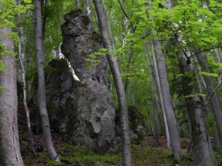 Lačnovský kaňon 9 - Paulina Melková