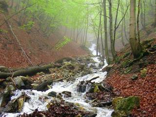 Veľká Bránica 2 - Majtán Robo