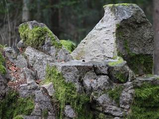 Hradisko na Kláštore 03 - Daniela Tomášiková