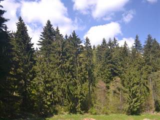 Tajch Veľká Vodárenská